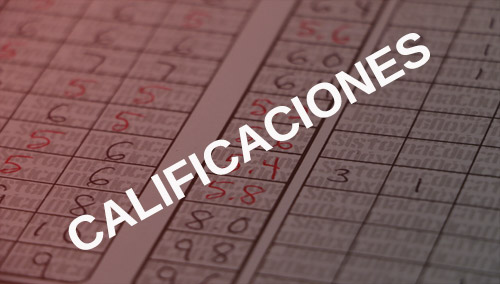 CALIFICACIONES ENTRENAMIENTO EN ESTRATEGIAS, TÉCNICAS Y HERRAMIENTAS APLICADAS A LA CONCILIACIÓN EN MATERIA FAMILIAR